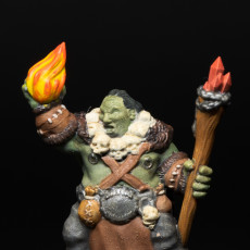 Picture of print of Ogre shaman