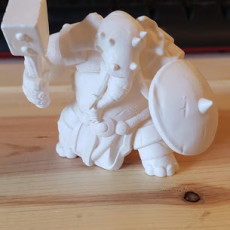 Picture of print of elephant armored warrior
