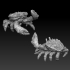 Giant spiked crab image