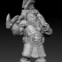 Dwarf Warrior image