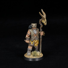 Picture of print of barbarian druid