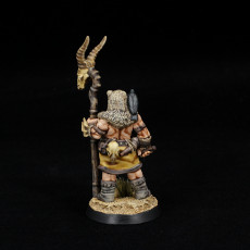 Picture of print of barbarian druid
