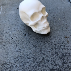 Picture of print of Skull
