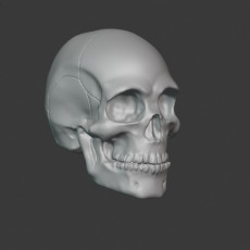 230x230 skull02
