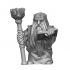 Dwarf rune mage - supportless model image