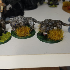 Picture of print of Wolf Miniature (Pre-Supported)