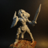 Amazon Warriors - 3 Units (AMAZONS! Kickstarter) print image
