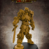 Skeletal Knight (multiple build options) - 32mm scale miniature with supports image