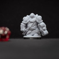 Picture of print of Dwarven Paladin Miniature - pre-supported