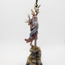 Picture of print of Mosbir, Ciorcal Druid (Pre-Supported)