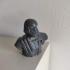 Death Trooper Bust print image