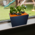Hydroponic Planter Box (DWC All-In-One) image