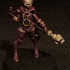 Picture of print of Faith Warforged Enchantress
