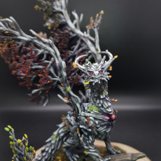 Picture of print of Forest Dragon