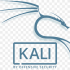 Logo Kali linux image
