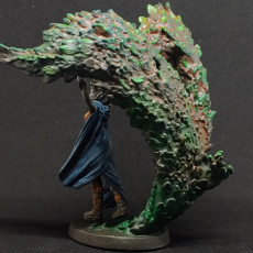 Picture of print of Empyrean Druid