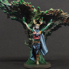 Picture of print of Empyrean Druid