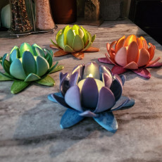 Picture of print of Lotus Flower