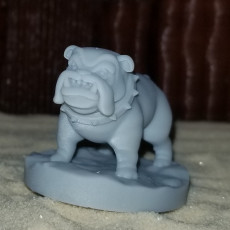 Picture of print of Bull Dog 1