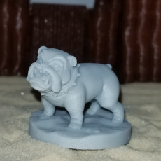 Picture of print of Bull Dog 2