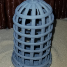 Picture of print of Cage