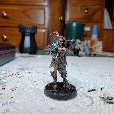 Picture of print of Skyla - Human Warrior  - 32mm - DnD