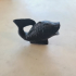 Fish Model 3D Scan image