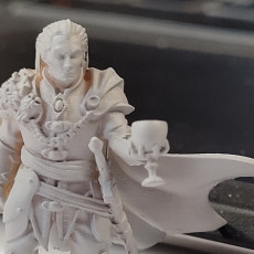 Picture of print of Vampire Lord (modular with bases)