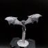 Vampire Bats print image