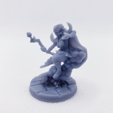 Picture of print of Mereith The Druid (Pre-Supported)
