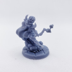 Picture of print of Mereith The Druid (Pre-Supported)