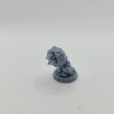 Picture of print of Rock Desert Worm (Free model)
