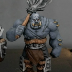 Picture of print of Orc Guard Variant 02 Miniature This print has been uploaded by BabyDM