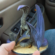 Picture of print of Cobra Dragon