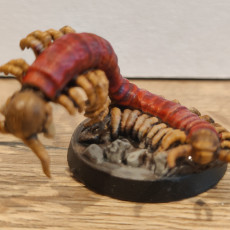 Picture of print of Giant centipede