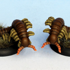 Picture of print of Giant centipede