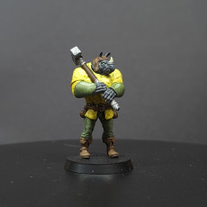 Picture of print of Rocksenik, Thieves Guild Bouncer