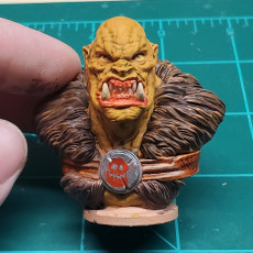 Picture of print of Orc Chief Bust [Pre-Supported]