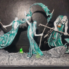 Picture of print of The Wraith King's Army - Heroes