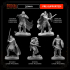 5 miniatures - 32mm - Classic RPG mercenaries bundle - MASTERS OF DUNGEONS QUEST image
