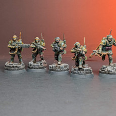 Picture of print of Shock Troops - Elite Squad of the Imperial Force