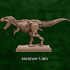 T-Rex Zombie -  Dinosaur image