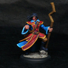 Picture of print of Male Human Mage (PRESUPPORTED)