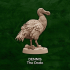 Docs and the Dodo image