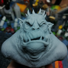 Picture of print of Ogre Bust- Blorb 100mm