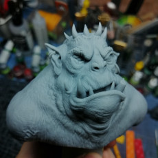 Picture of print of Ogre Bust- Blorb 100mm