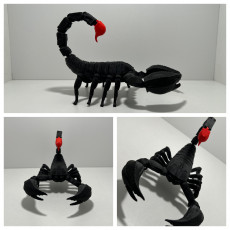 Picture of print of REALISTIC ARTICULATED SCORPION