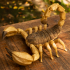 REALISTIC ARTICULATED SCORPION image