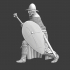 Medieval Infantry Sergeant with mace and shield image