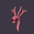 human aorta image